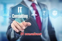 IT consultant