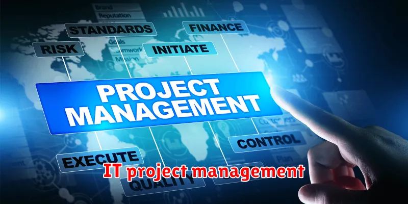 IT project management